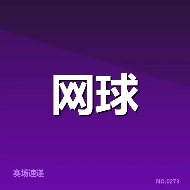 赛事数据与裁判团队基本情况